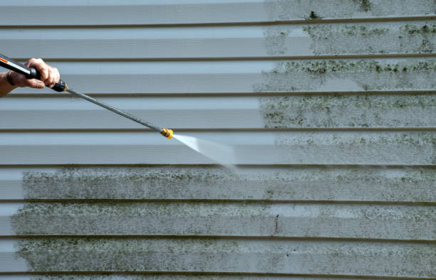 Trusted Arcadia, LA Pressure Washing Services Experts